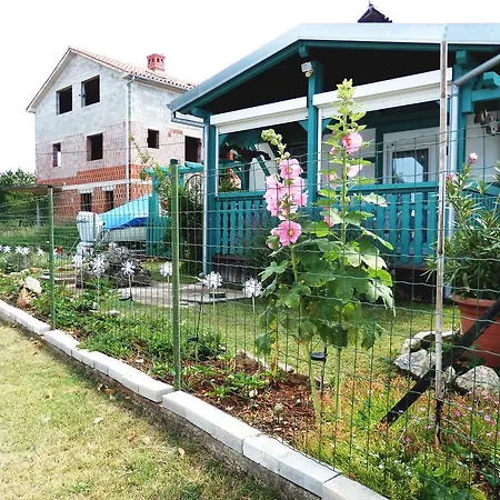 Kapovica * ميدولين